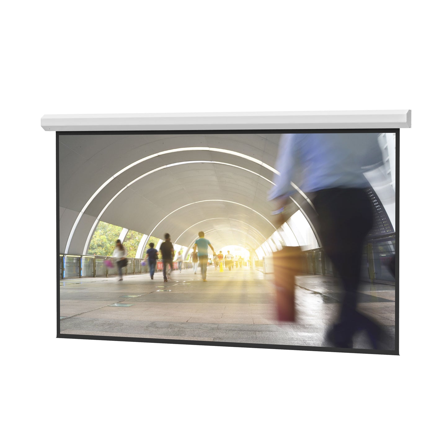 Da-Lite 210" Large Cosmopolitan Electrol Projection Screen - Matte White Surface